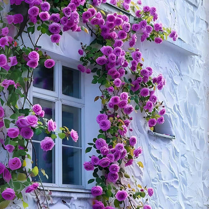Imported Climbing Rose Seeds – Premium Red Bloomers for Trellises, Fences & Garden Walls